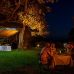Arusha Serena Hotel accommodation photo 3
