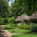 Arusha Serena Hotel accommodation photo 4