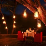 Serengeti Serena Safari Lodge accommodation photo 2