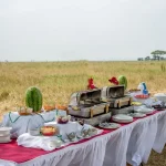 Serengeti Serena Safari Lodge accommodation photo 4