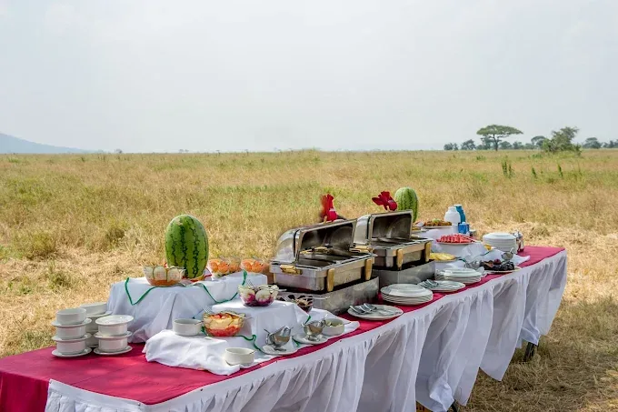Serengeti Serena Safari Lodge accommodation photo 4