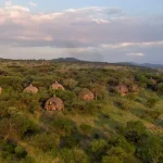 Serengeti Serena Safari Lodge accommodation photo 6