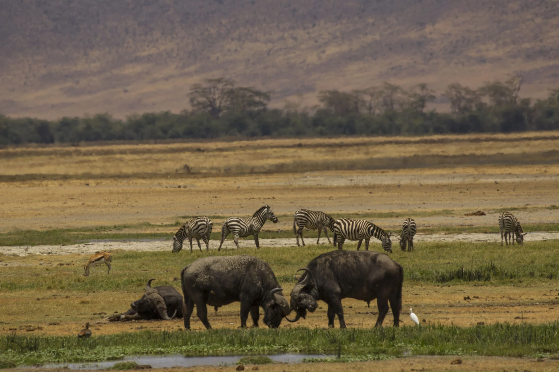 SAF-05 Tanzania adventure view