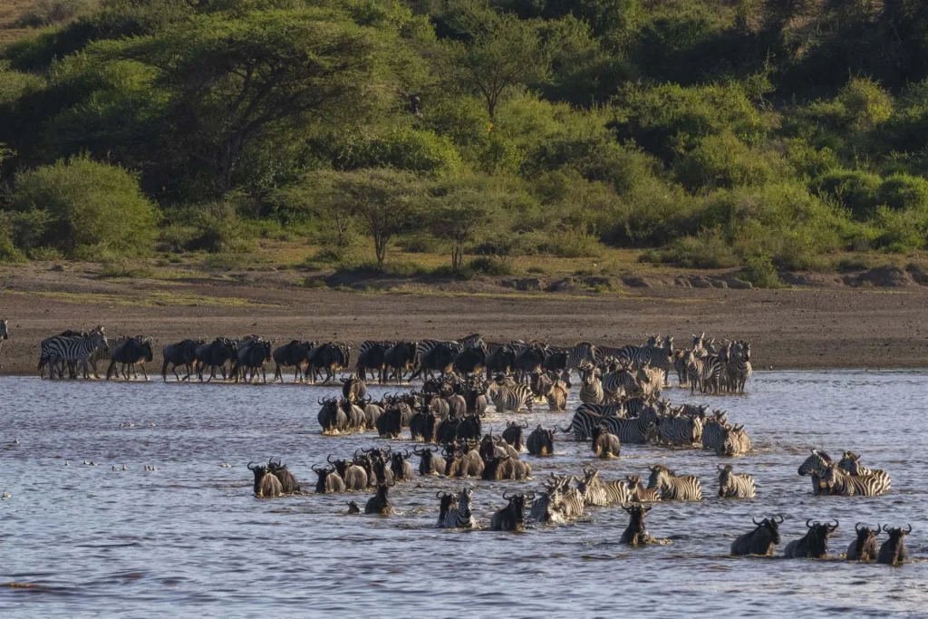 SAF-09 Tanzania adventure view