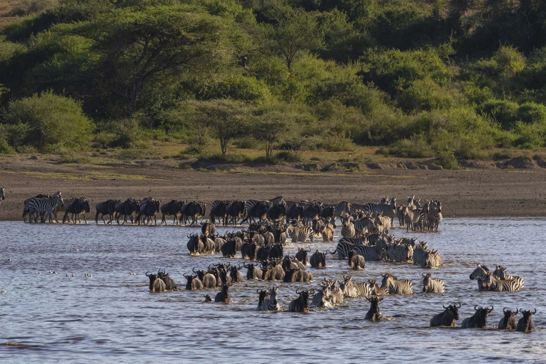 SAF-09 Tanzania adventure view