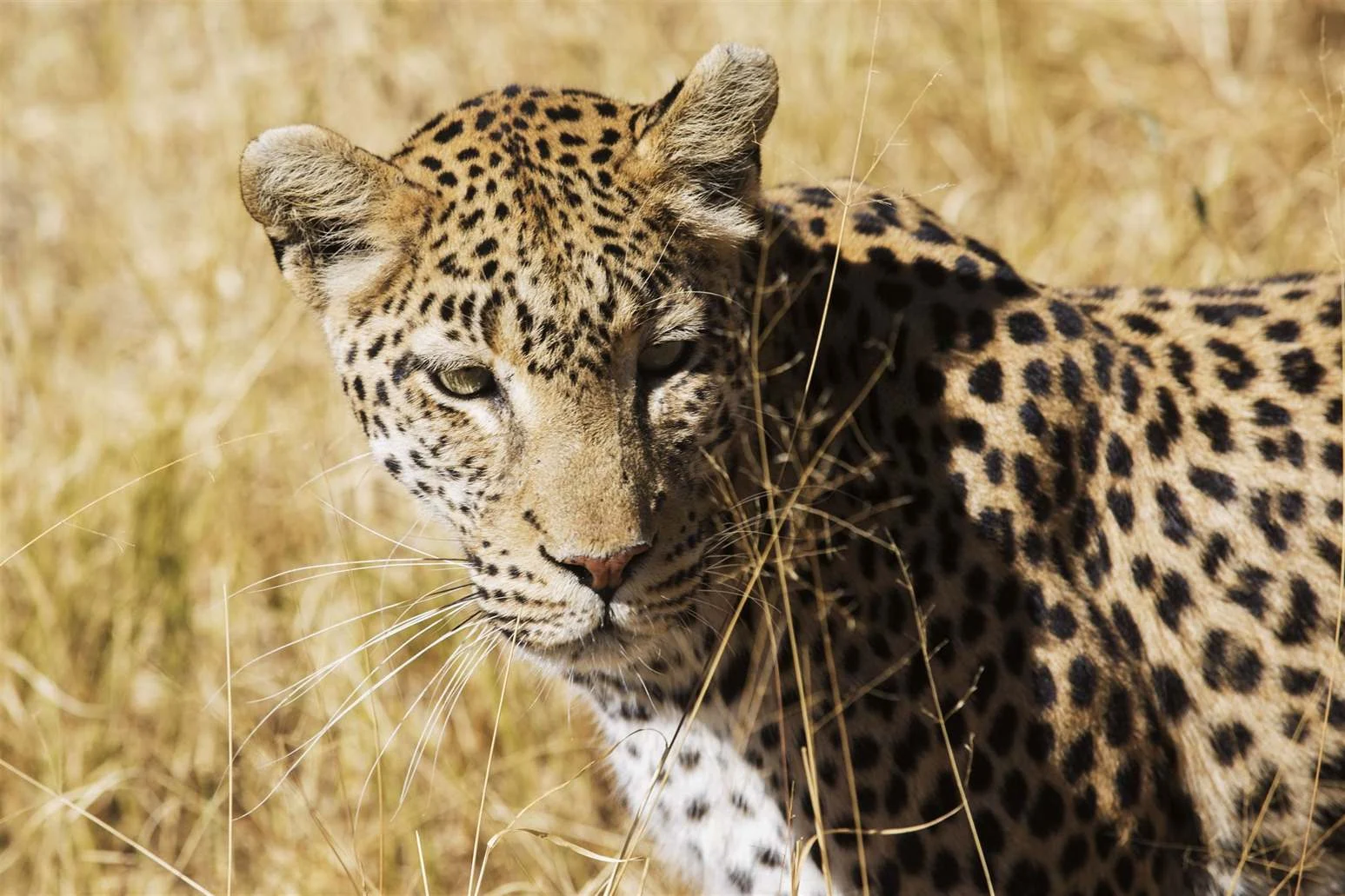 SAF-21 Tanzania adventure view